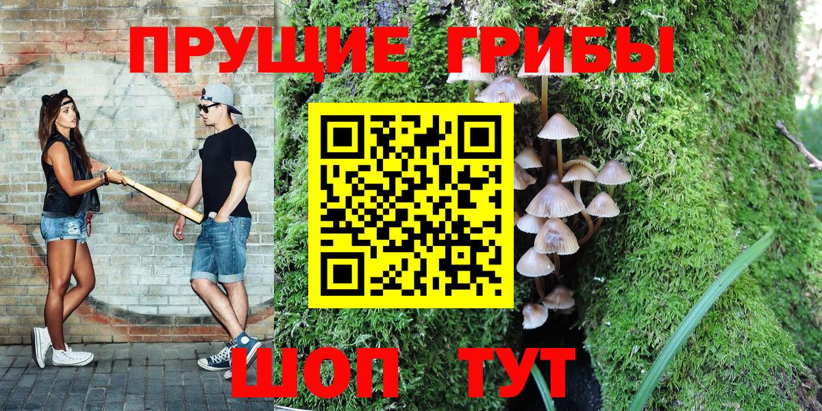 Псилоцибиновые грибы Psilocybine cubensis Братск